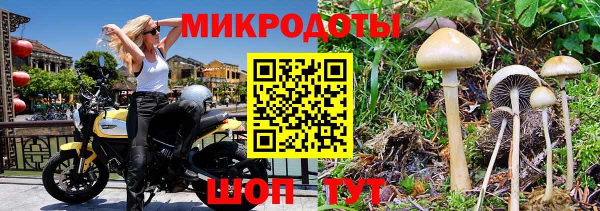 Галлюциногенные грибы мицелий  как найти   Псилоцибиновые грибы прущие грибы  Верхняя Салда  Вход с VPN 